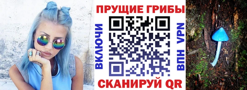 Псилоцибиновые грибы Cubensis Иланский